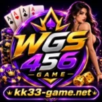 WGS456 Game