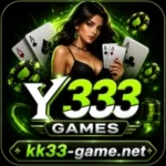 Y333 Game