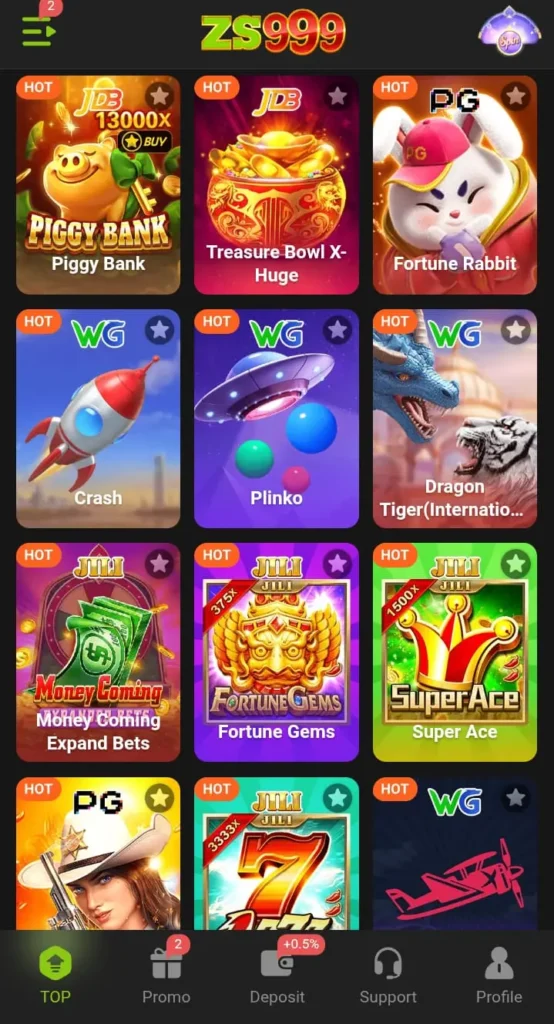 Key Features of ZS999 Game