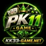 PK11 Game
